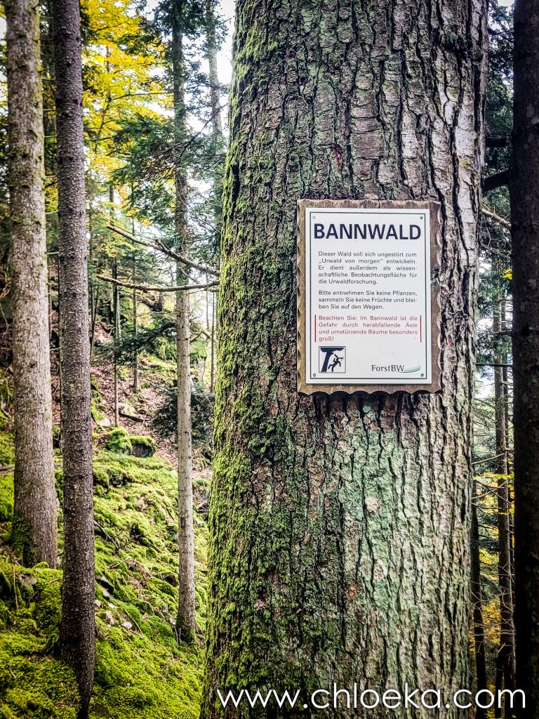 panneau informatif Bannwald