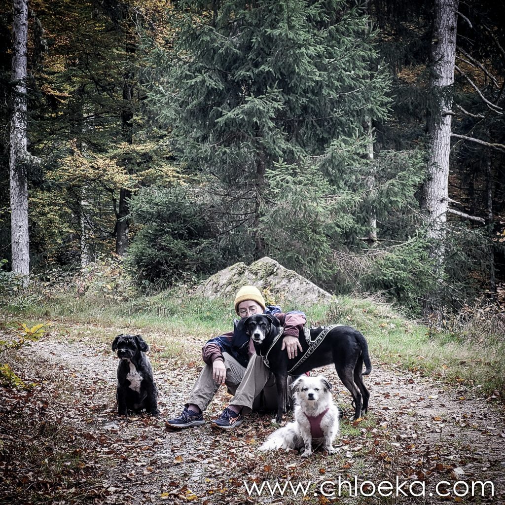 portrait de famille