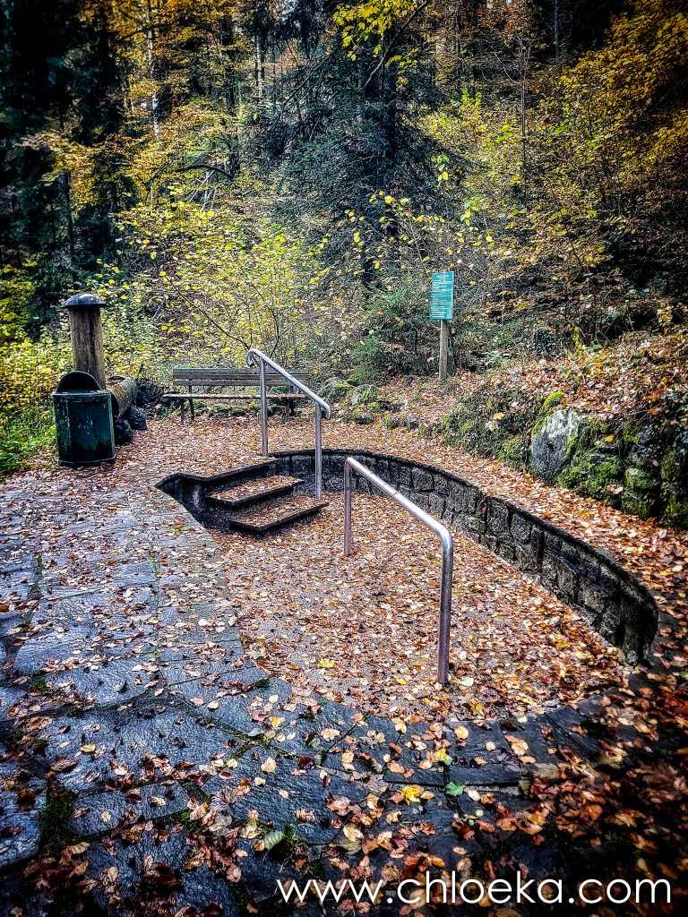 pédiluve de la Forêt Noire