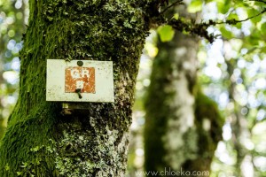 chloeka- Randonnée Gazon de Faing - Aout 2015 -GR5