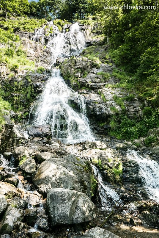 chloeka- Randonnée Todtnau Wasserfall- 16 juillet 2016-16