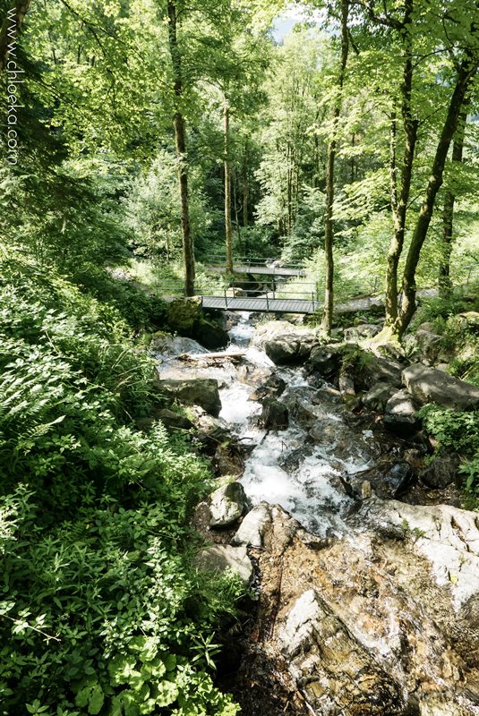 chloeka- Randonnée Todtnau Wasserfall- 16 juillet 2016-18