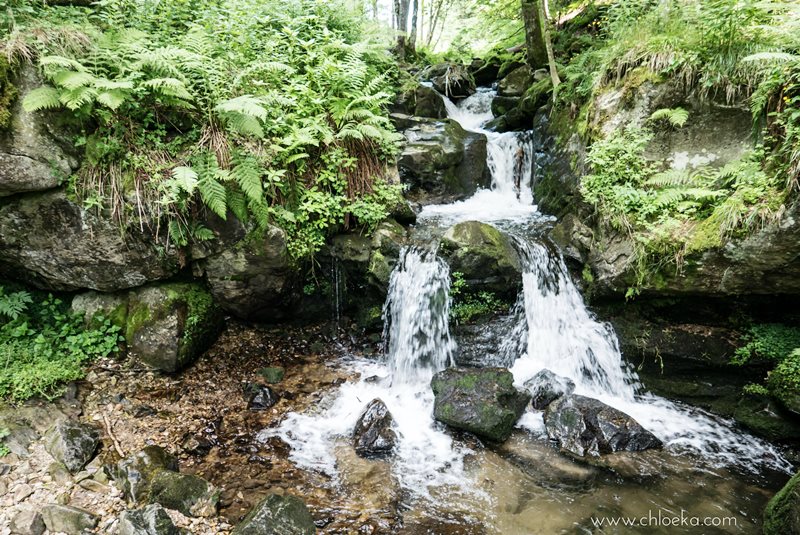 chloeka- Randonnée Todtnau Wasserfall- 16 juillet 2016-73