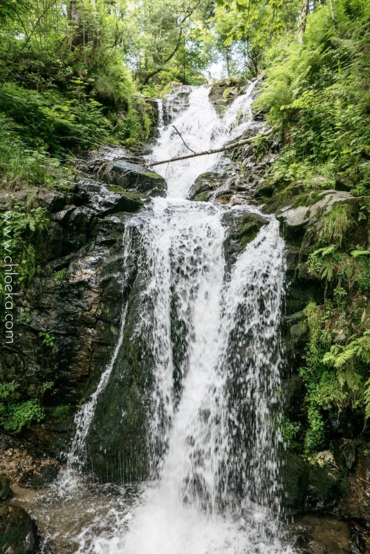chloeka- Randonnée Todtnau Wasserfall- 16 juillet 2016-74