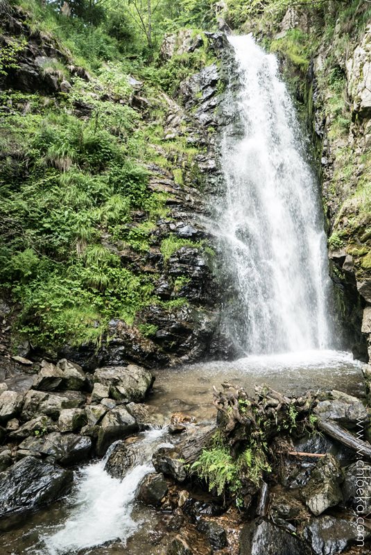 chloeka- Randonnée Todtnau Wasserfall- 16 juillet 2016-8