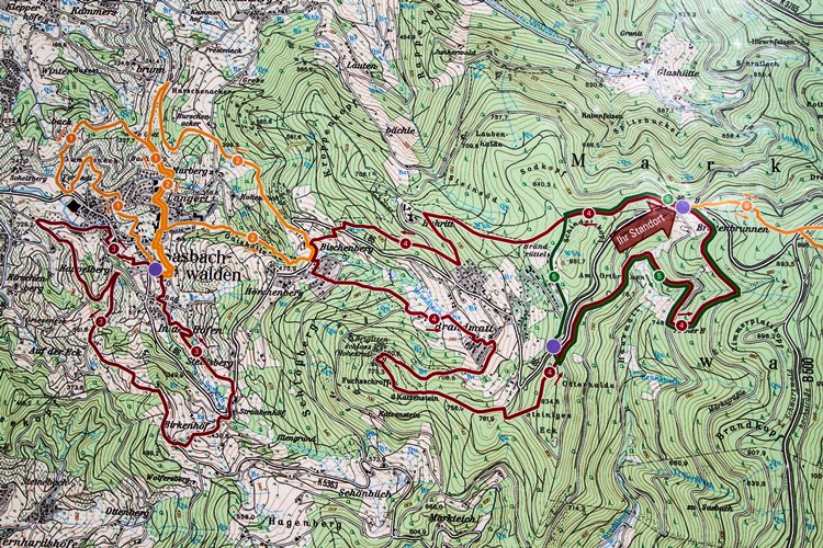 chloeka- Randonnée à Sasbachwalden en Forêt Noire- octobre 2015-67