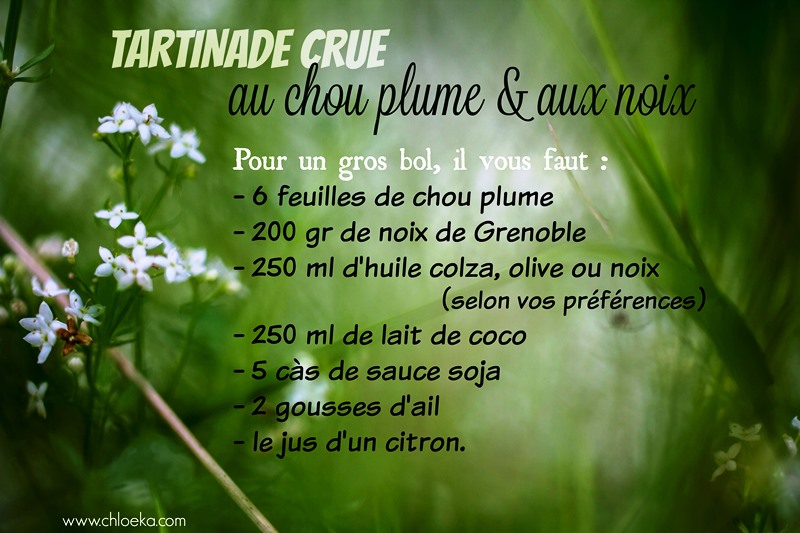 chloeka-ingredients-tartinade-crue-chou-plume-et-noix-oct-2016