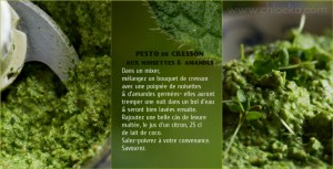 Pesto cru - cresson - amandes & noisettes germées