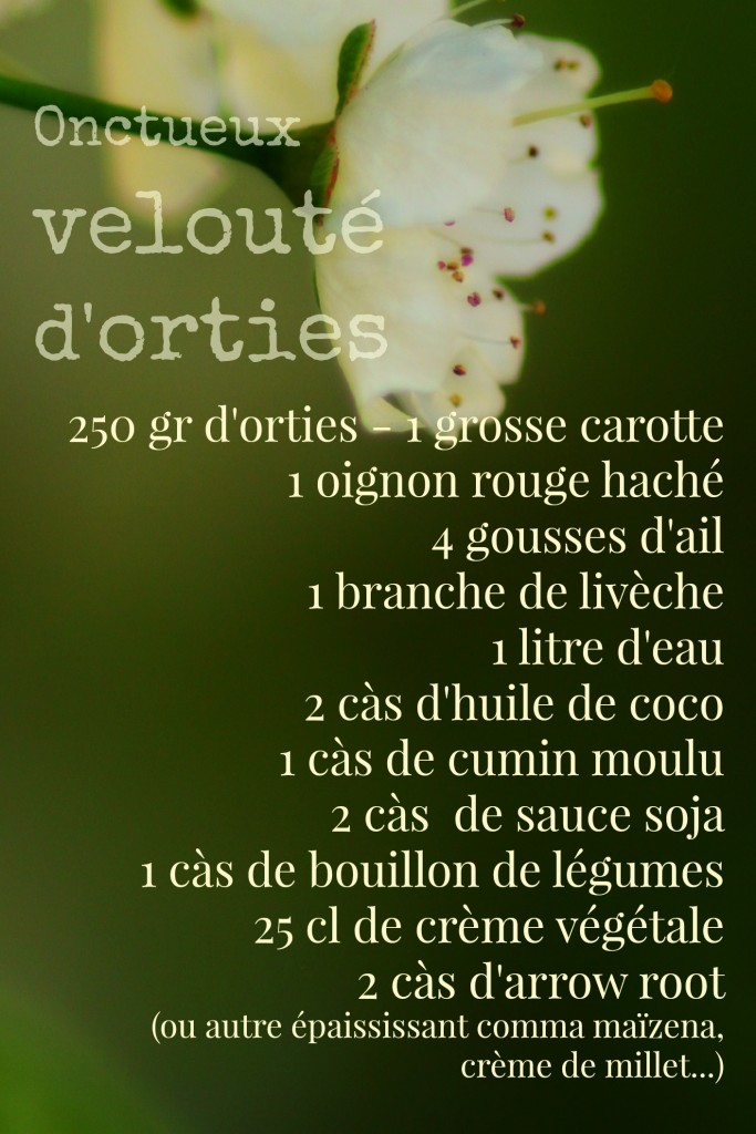 chloeka- velouté d'orties- ingrédients - avril 2015
